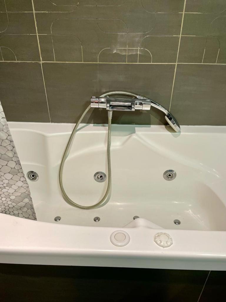 Le Cocon Art Deco Appartement Caluire-et-Cuire Buitenkant foto